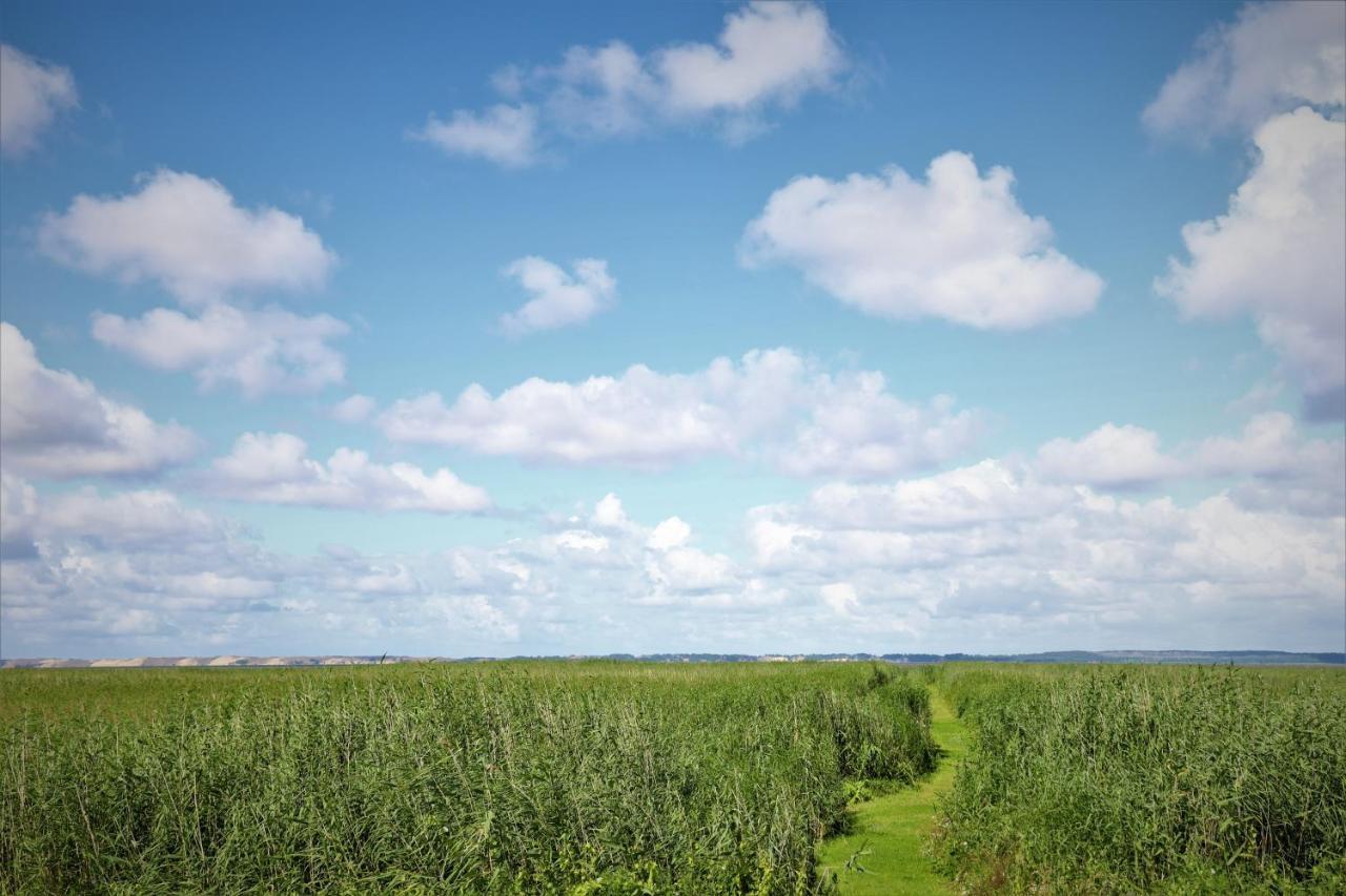 Stovyklaviete Pauksciu Takas Vila Svencele Exterior foto